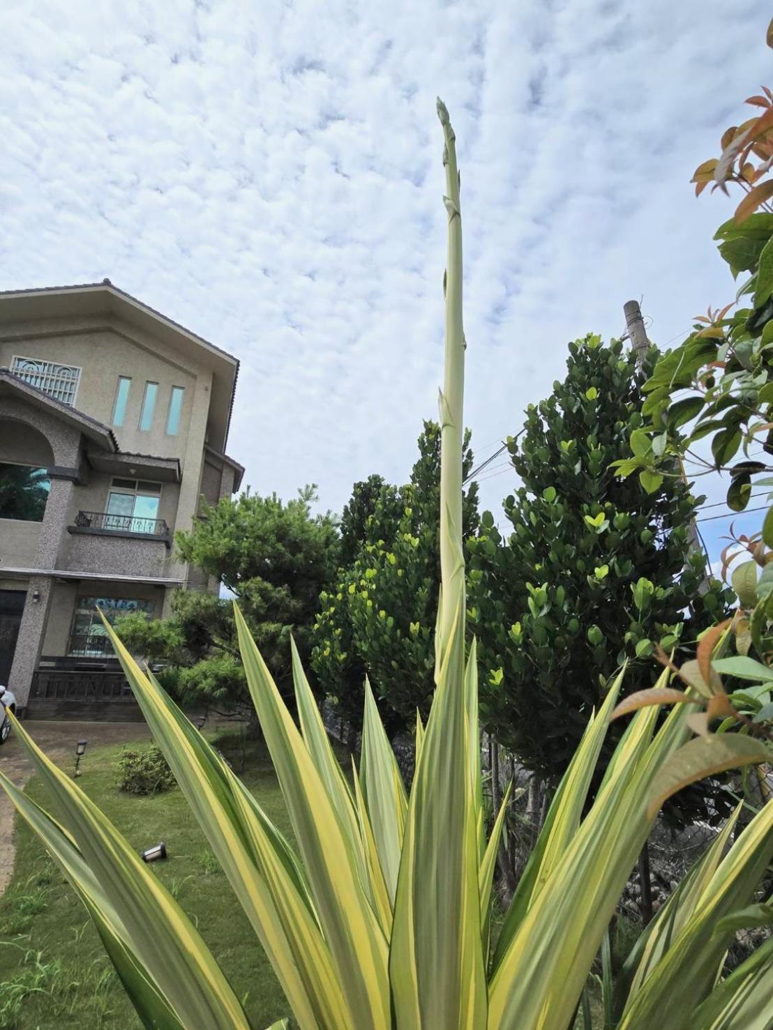 Shangwu Mandy'S House B&B מראה חיצוני תמונה